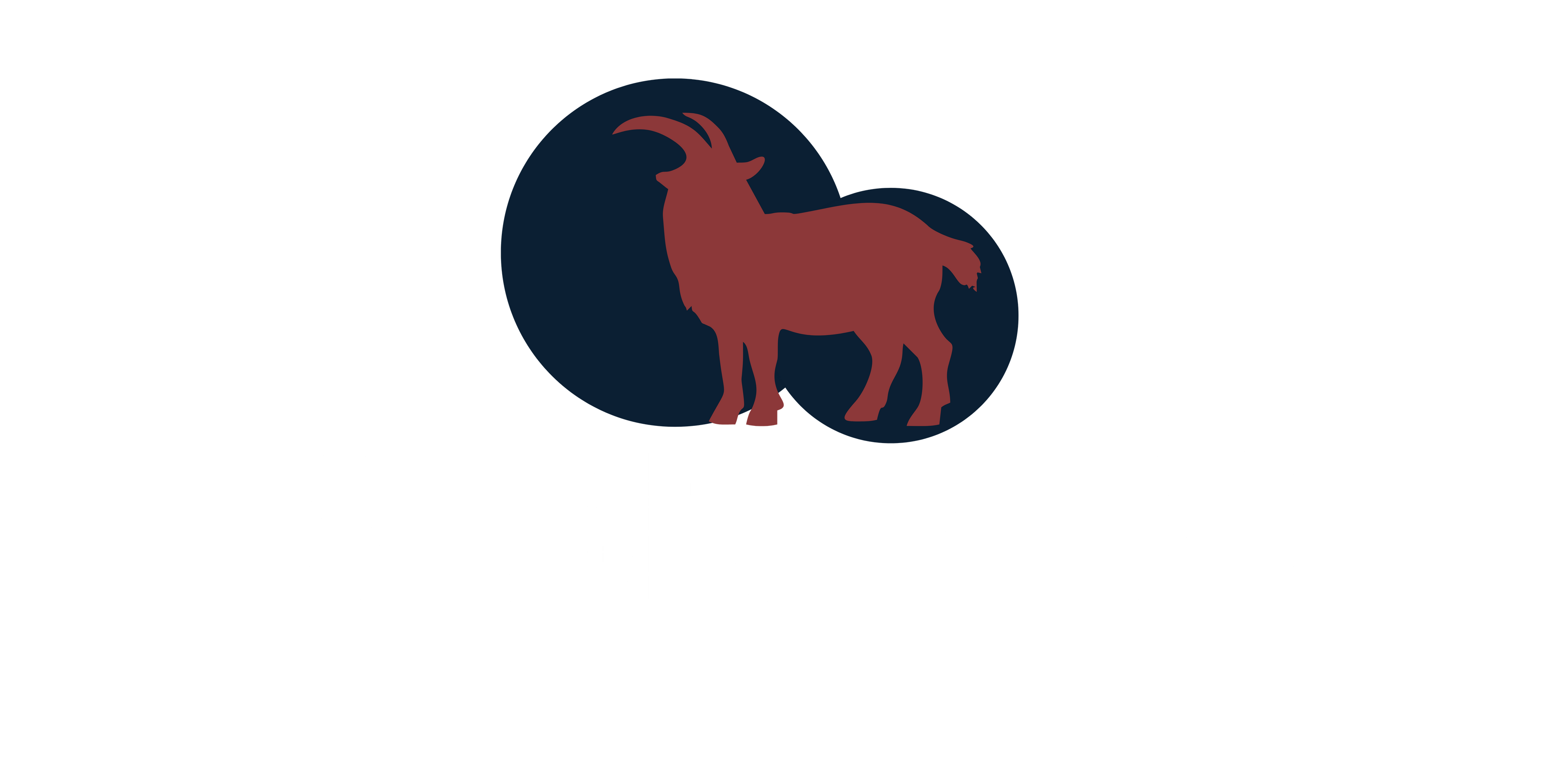 Stubborn Ibex Studios